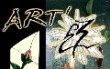 IN COLLABORAZIONE: - Alle Fontane